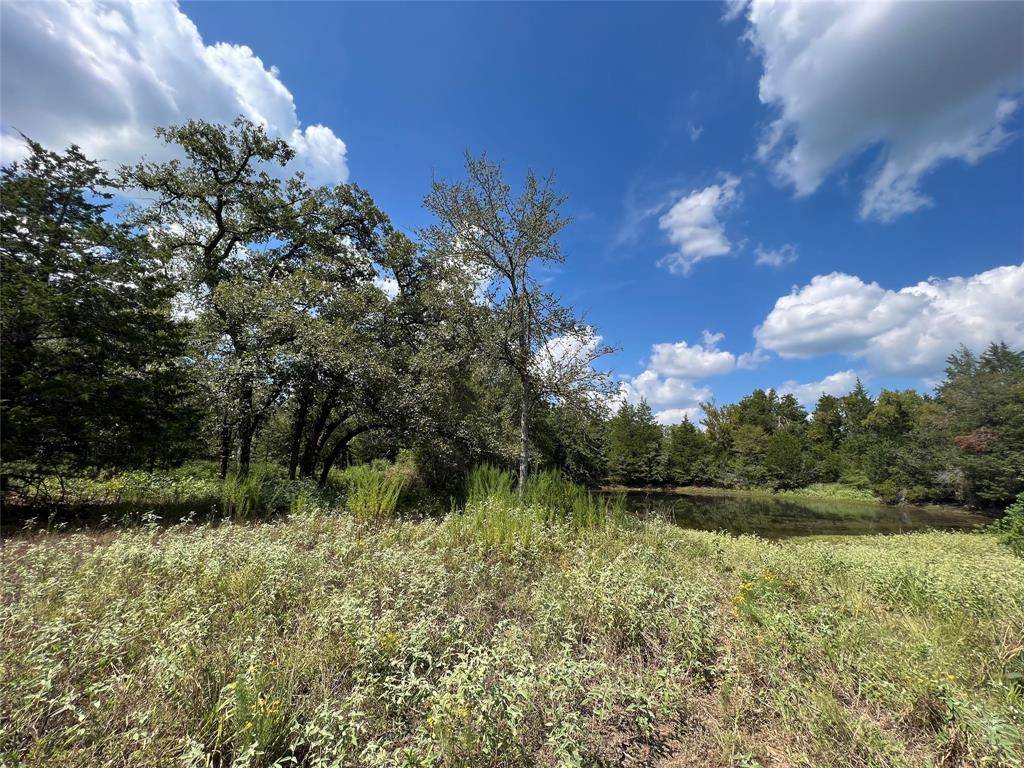 Fairfield, TX 75840,Lot 45 FM 489