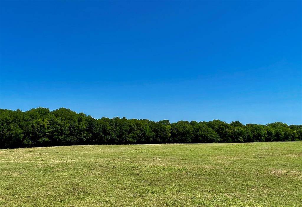 Lone Oak, TX 75453,Lot 4 CR 1610