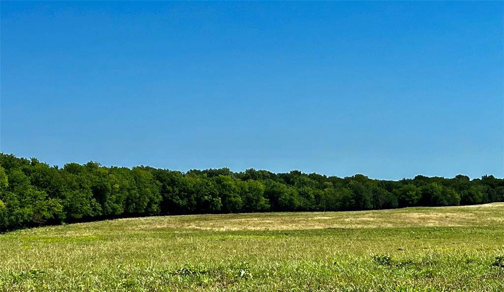 Lone Oak, TX 75453,Lot 4 CR 1610