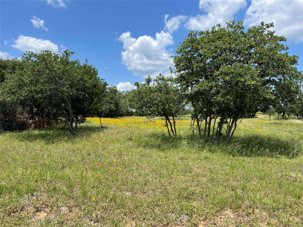 Possum Kingdom Lake, TX 76449,Lot 88 Colonial Drive