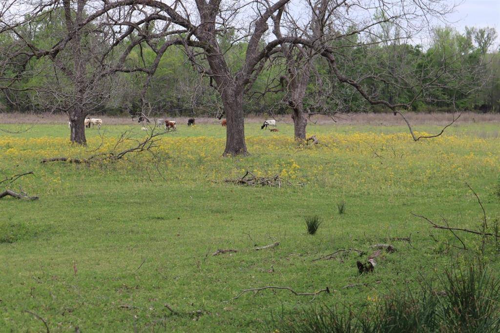 Alba, TX 75410,TBD Rs County Road 2365