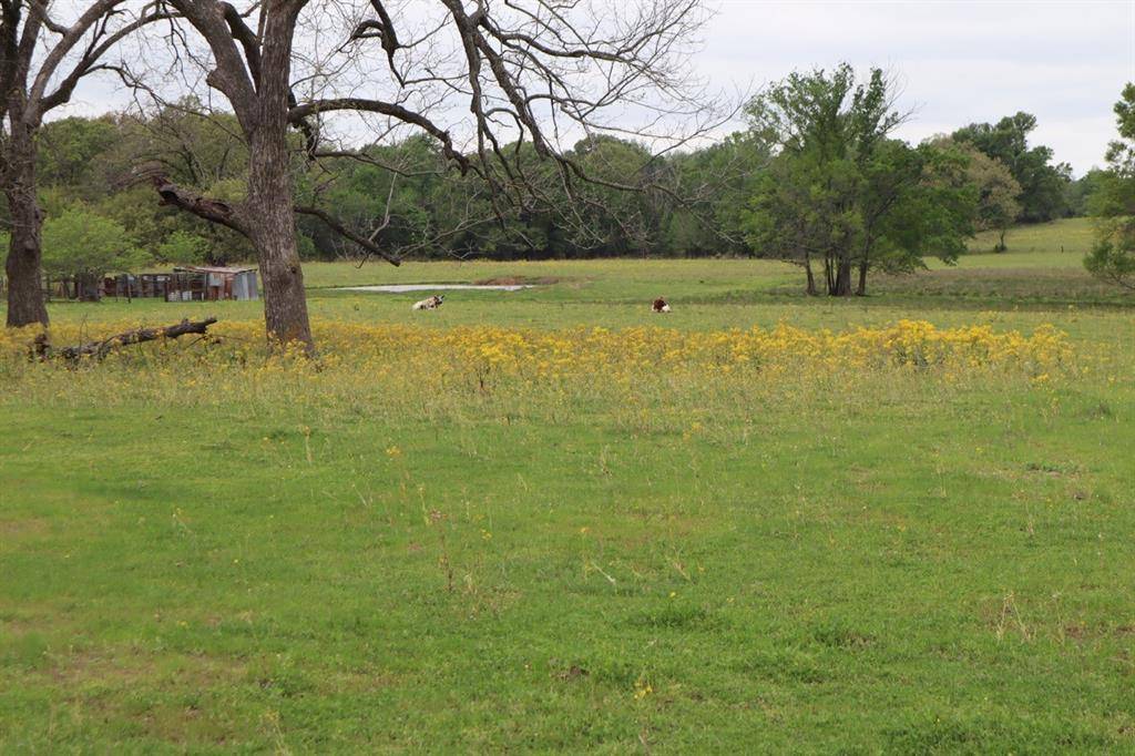 Alba, TX 75410,TBD Rs County Road 2365