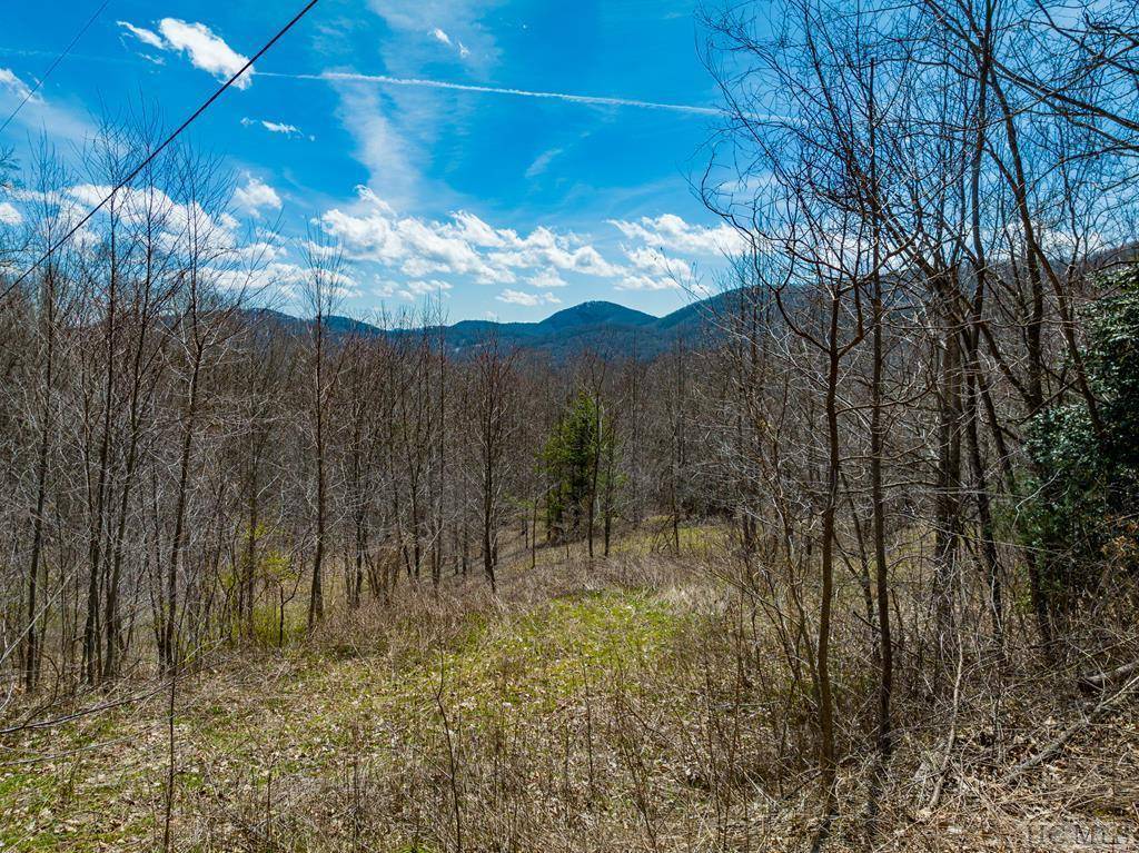 Glenville, NC 28736,0000 Big Ridge Road