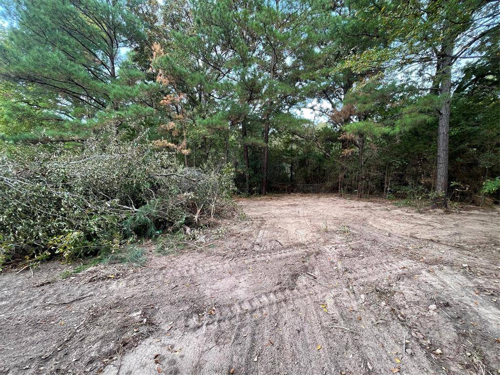 Quitman, TX 75783,Lot 4 Kerry Circle