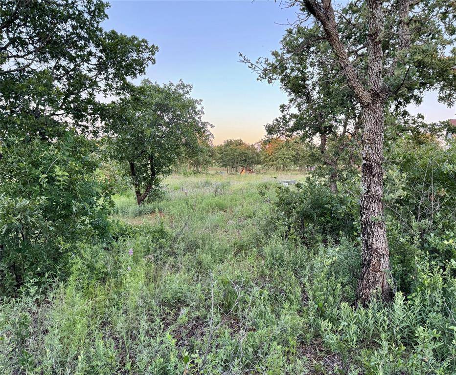 Cisco, TX 76437,TBD Hidden Shores Drive