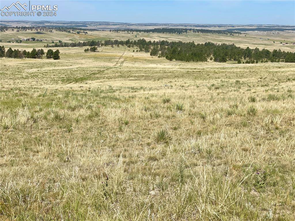 Ramah, CO 80832,31963 Ridge RD