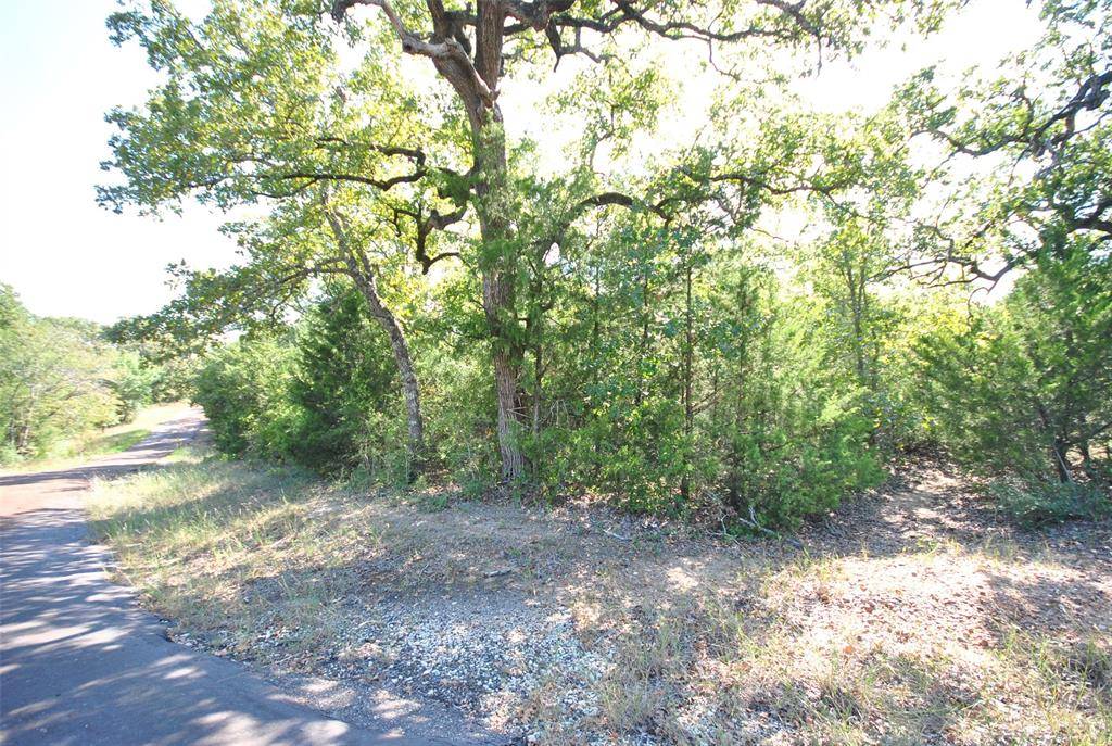 Jewett, TX 75846,Lot 76 CR 910 Drive