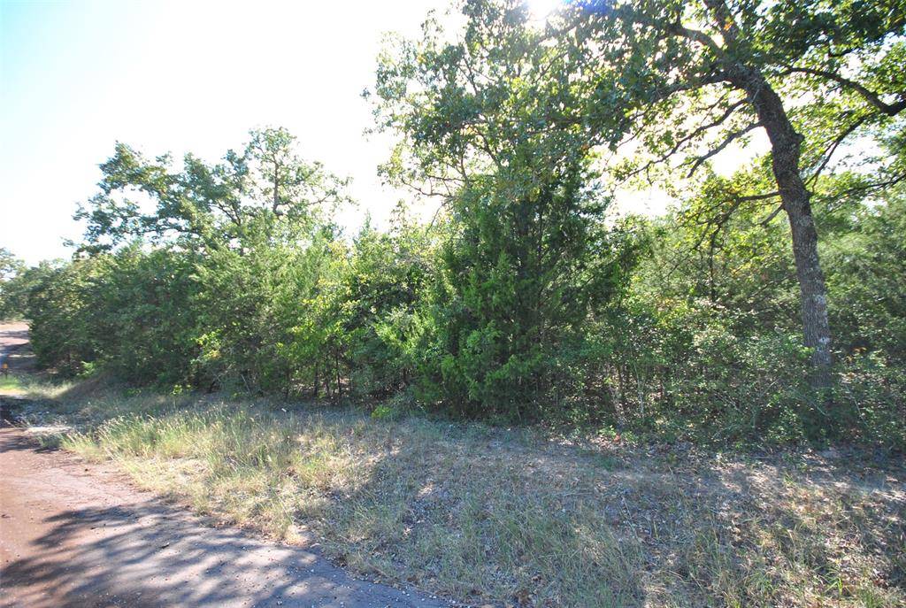 Jewett, TX 75846,Lot 76 CR 910 Drive