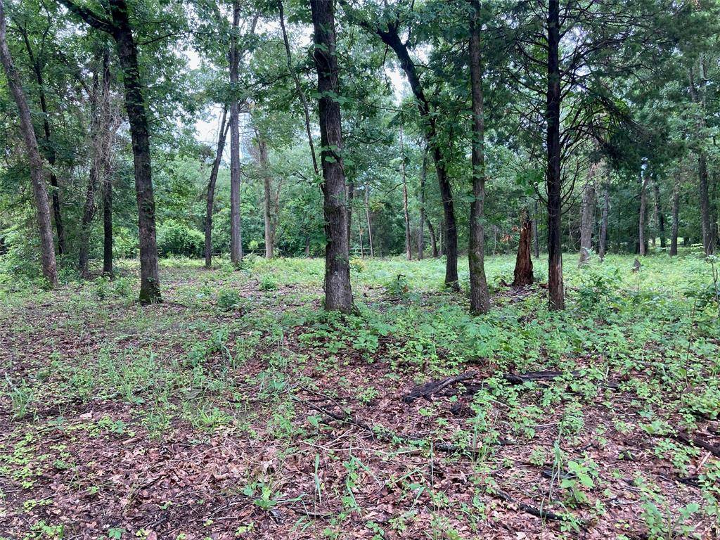 Scroggins, TX 75480,Lot 32 Morning Glory Circle