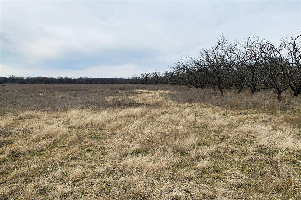 Jacksboro, TX 76458,TBD1 Barker Rd