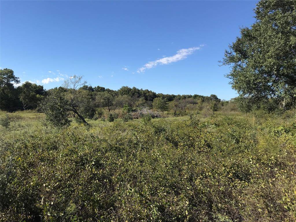 Cross Plains, TX 76443,TBD Fm 880 S