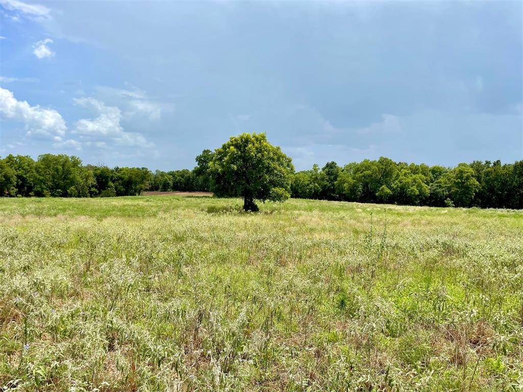 Weatherford, TX 76087,Lot 8 Pernell Court