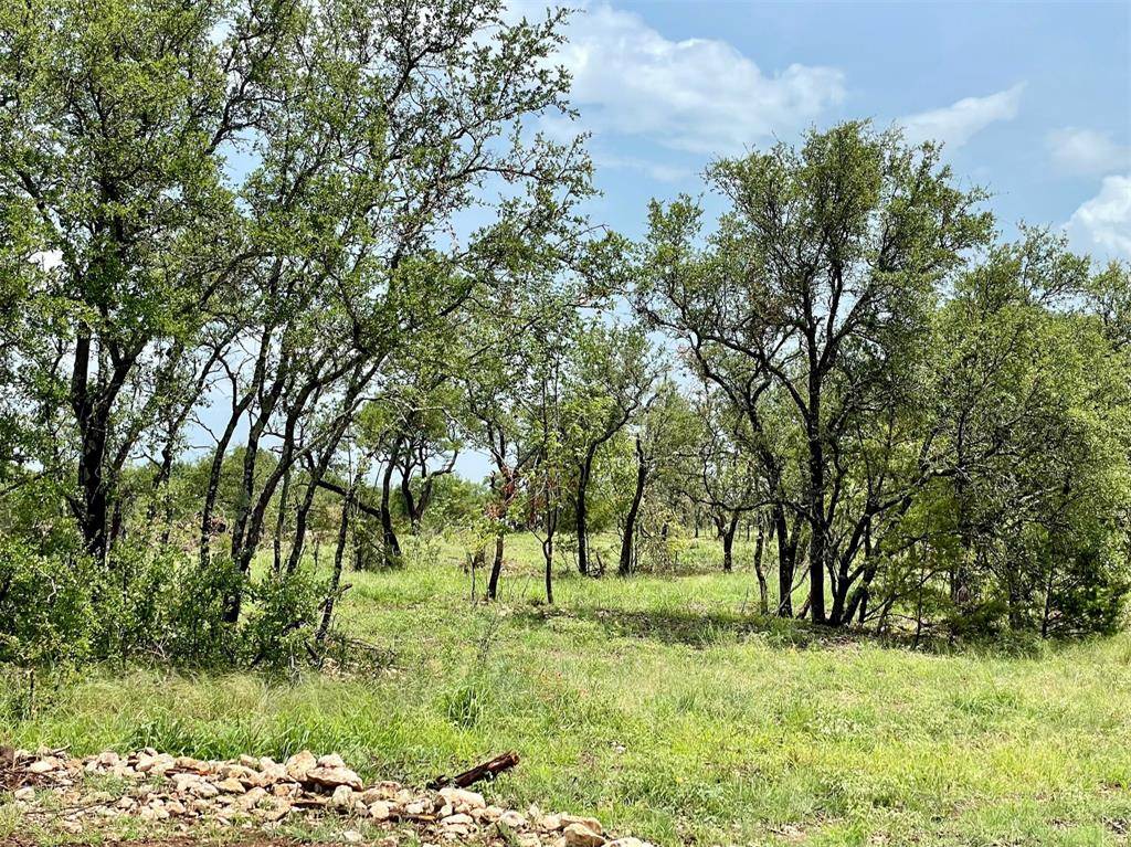 Weatherford, TX 76087,Lot 17 Pernell Court