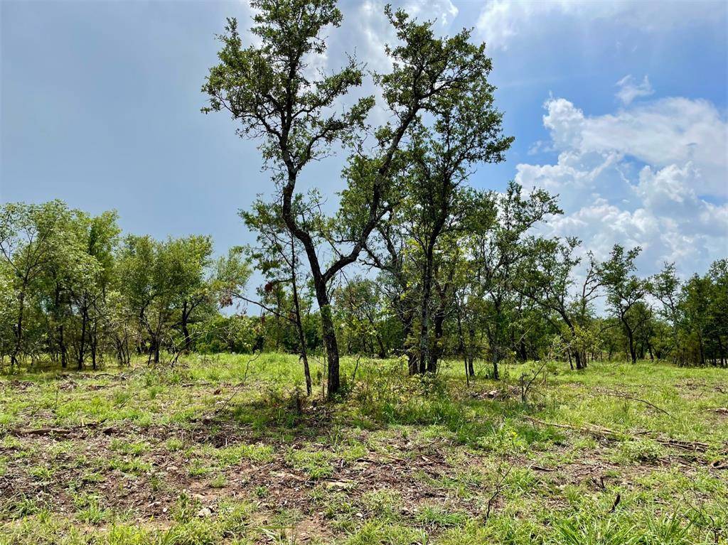 Weatherford, TX 76087,Lot 18 Hemet Way