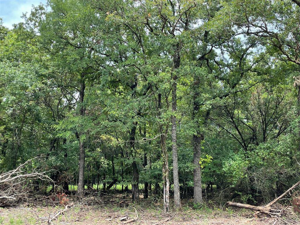 Weatherford, TX 76087,Lot 20 Roy Coffee Court