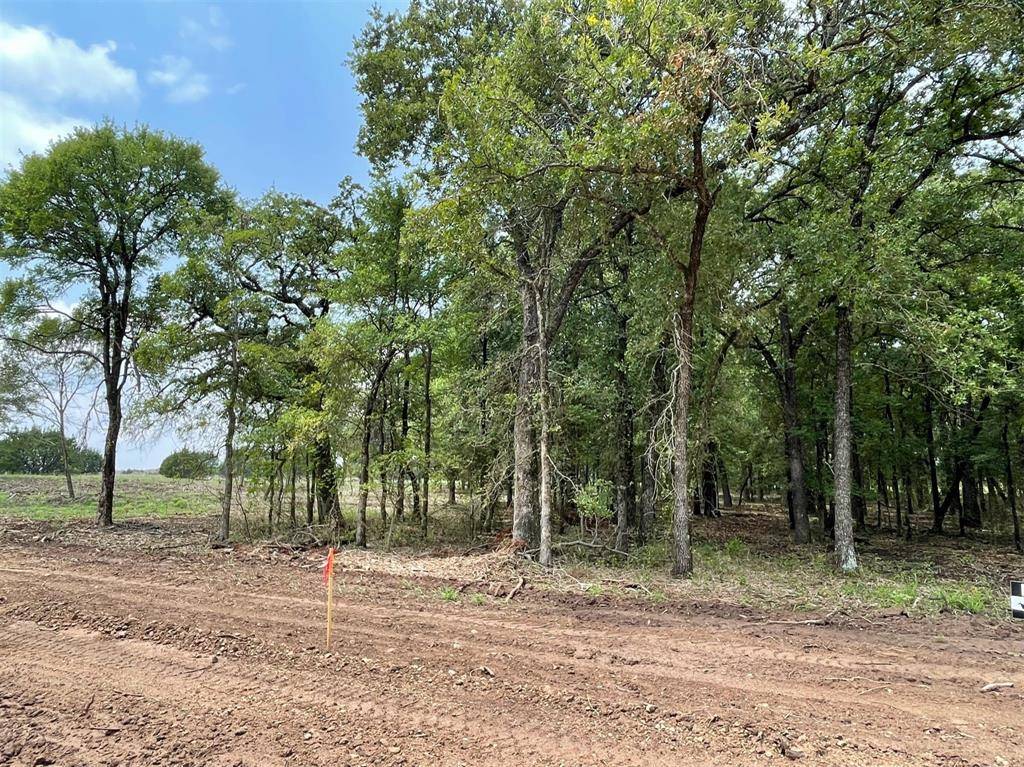 Weatherford, TX 76087,Lot 22 Roy Coffee Court