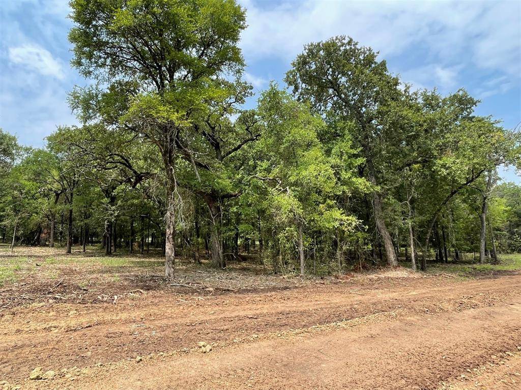 Weatherford, TX 76087,Lot 23 Roy Coffee Court