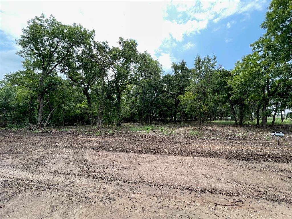 Weatherford, TX 76087,Lot 25 Roy Coffee Court