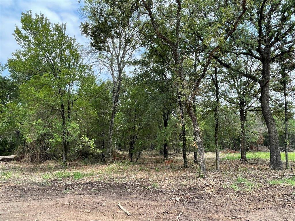 Weatherford, TX 76087,Lot 26 Roy Coffee Court