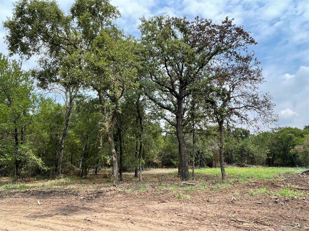 Weatherford, TX 76087,Lot 26 Roy Coffee Court