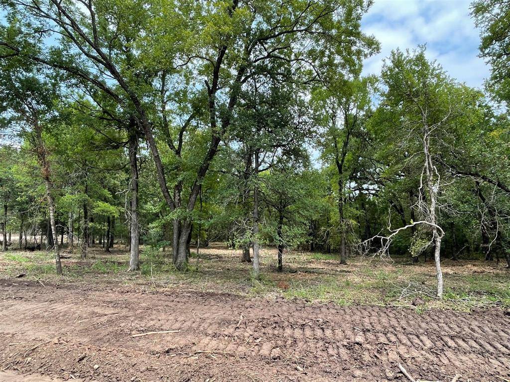 Weatherford, TX 76087,Lot 28 Roy Coffee Court