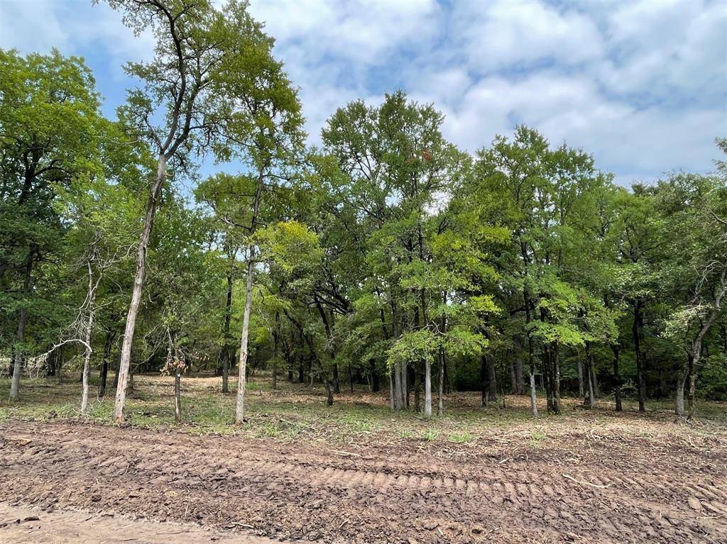 Weatherford, TX 76087,Lot 28 Roy Coffee Court