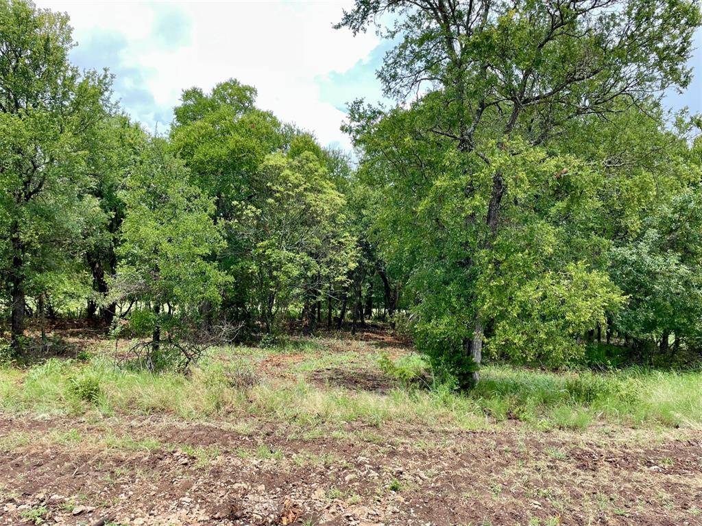 Weatherford, TX 76087,Lot 39 Hemet Way