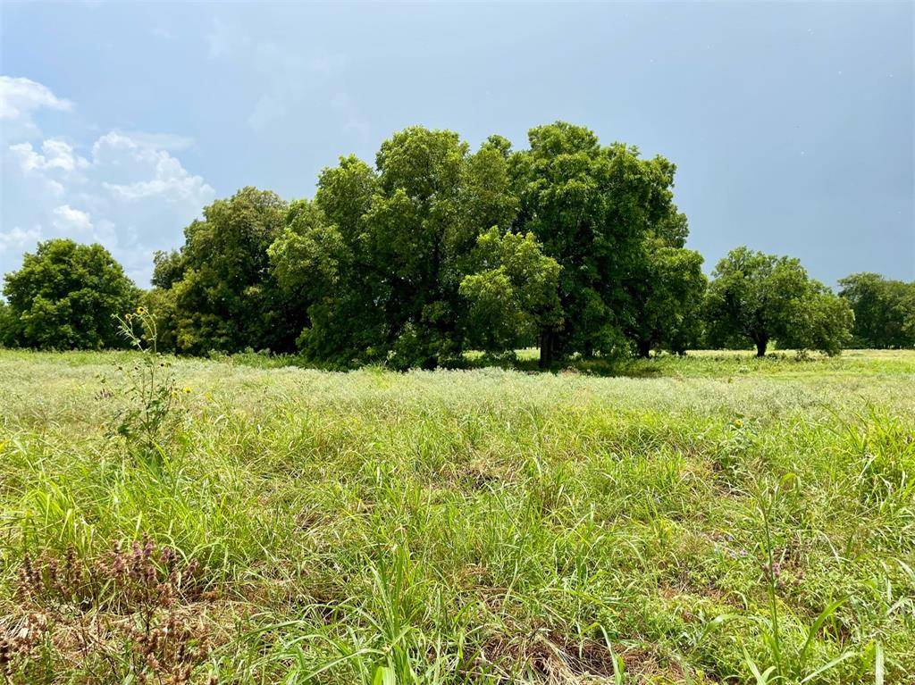 Weatherford, TX 76087,Lot 43 Cartwright Road