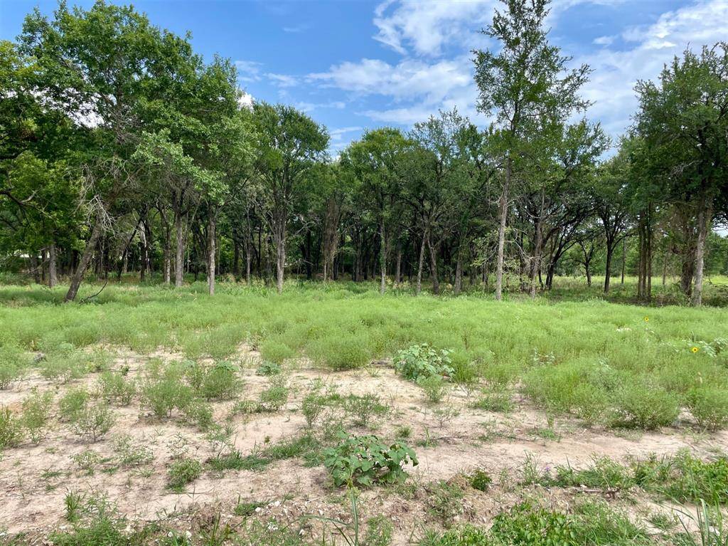 Weatherford, TX 76087,Lot 65 Greene Road