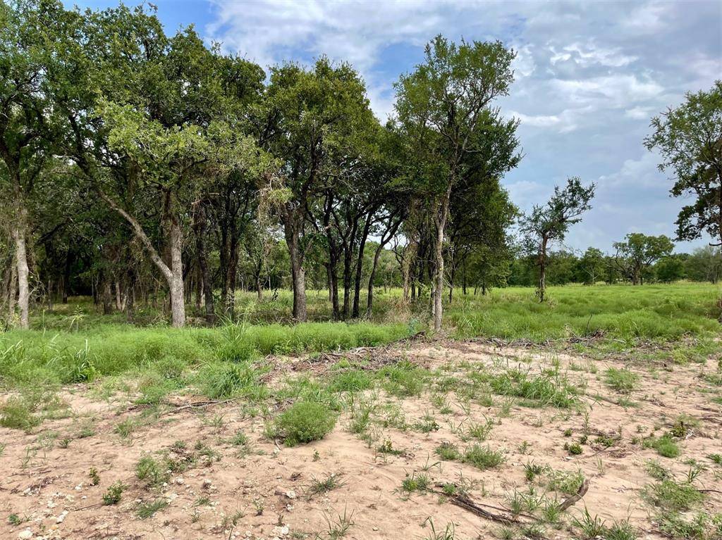 Weatherford, TX 76087,Lot 65 Greene Road