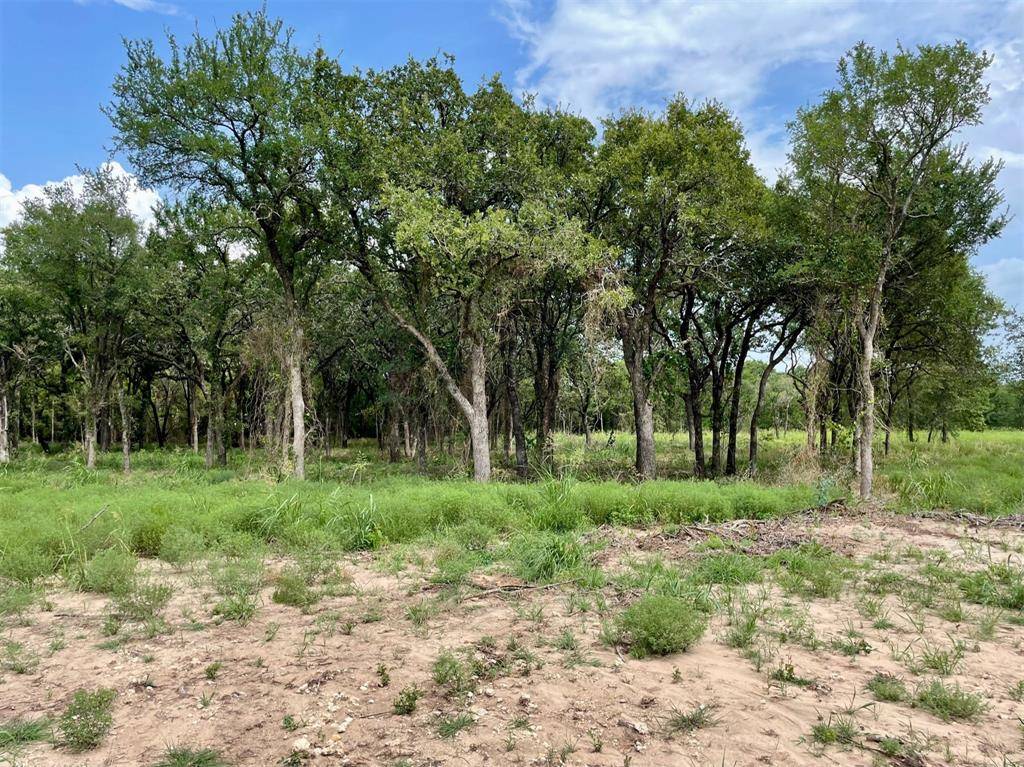 Weatherford, TX 76087,Lot 65 Greene Road