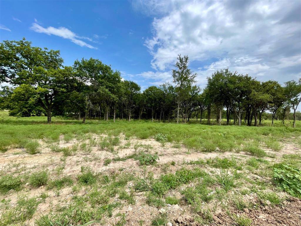 Weatherford, TX 76087,Lot 65 Greene Road