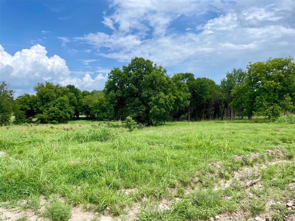 Weatherford, TX 76087,Lot 66 Greene Road