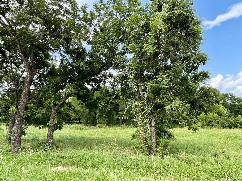 Weatherford, TX 76087,Lot 67 Greene Road