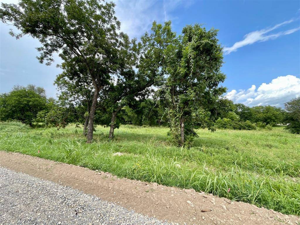 Weatherford, TX 76087,Lot 67 Greene Road