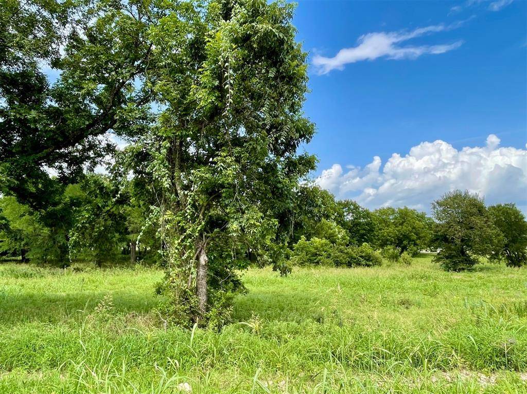 Weatherford, TX 76087,Lot 67 Greene Road