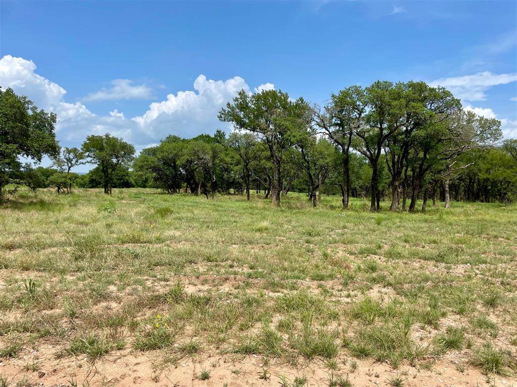 Weatherford, TX 76087,Lot 80 Hopsing Court