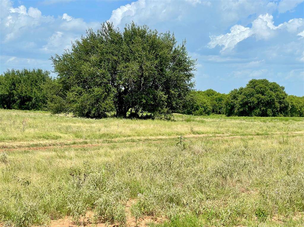 Weatherford, TX 76087,Lot 81 Hopsing Court