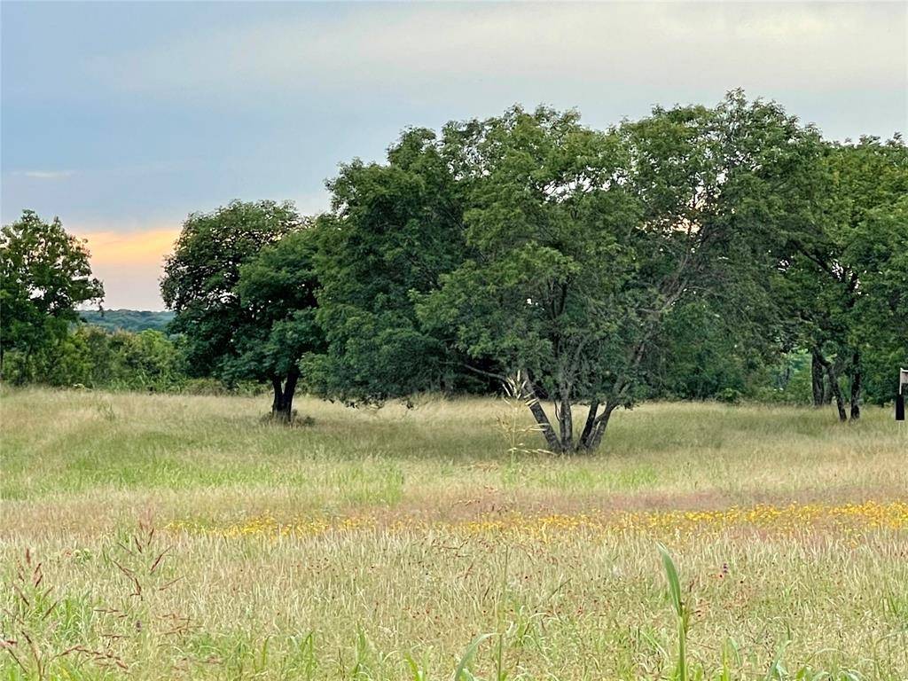 Weatherford, TX 76087,Lot 21R Cactus Rio Lane