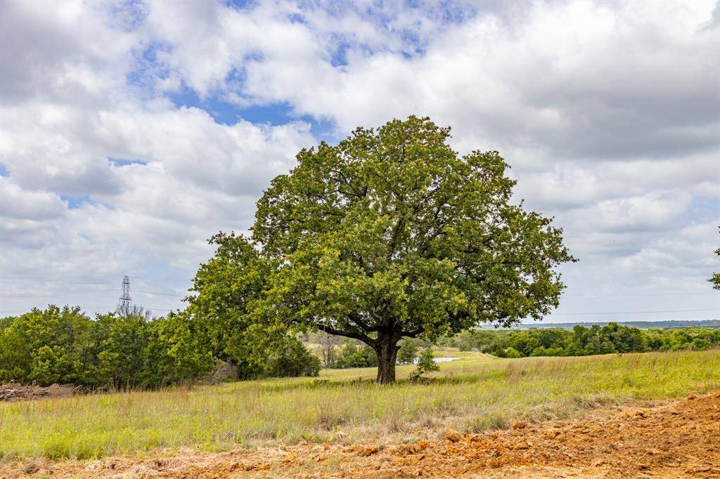 Weatherford, TX 76088,104 Bosal Lane