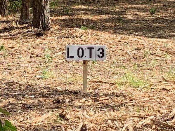 Covington, TX 76636,101 Cemetery Rd LOT 3