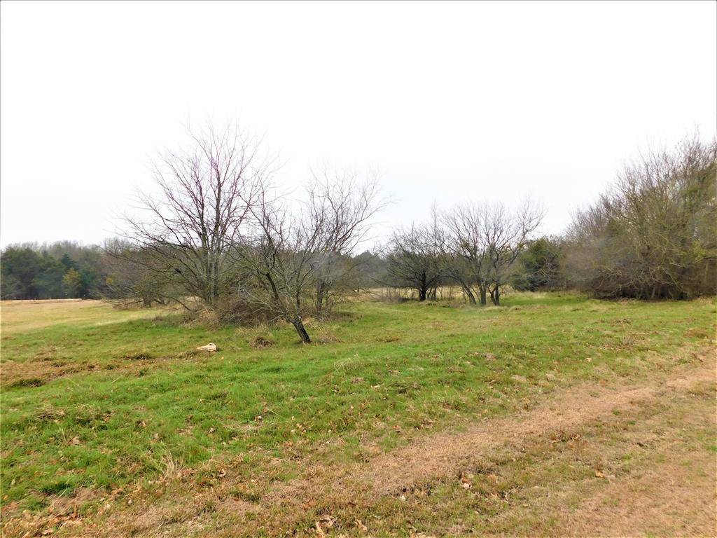 Corsicana, TX 75109,L 203 Hatteras Drive