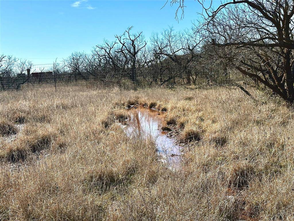 Cross Plains, TX 76443,TBD Acres Hwy 279