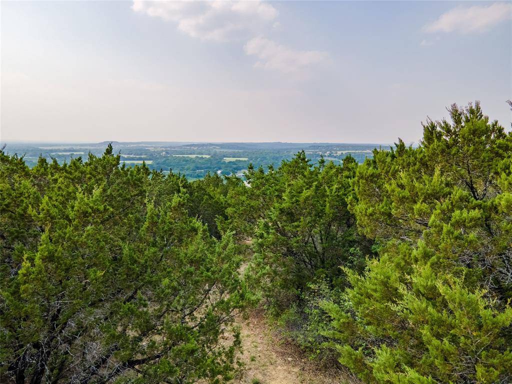 Bluff Dale, TX 76433,425 Bluff View Drive