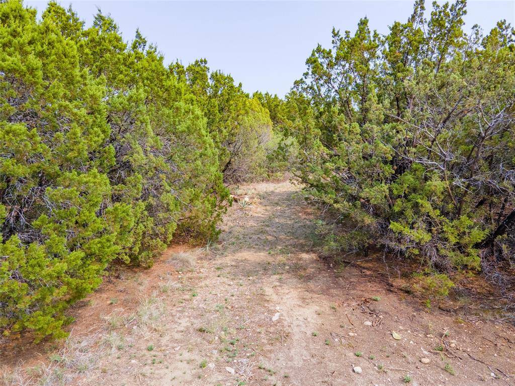 Bluff Dale, TX 76433,425 Bluff View Drive