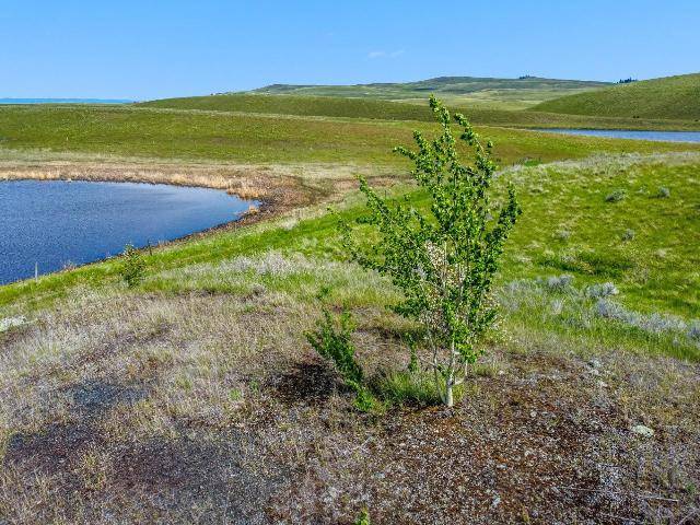 BERESFORD ROAD, Kamloops, BC
