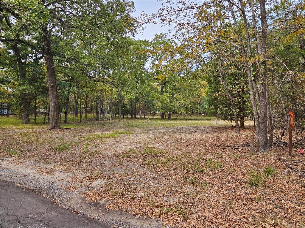 West Tawakoni, TX 75474,308 Comanche Trail