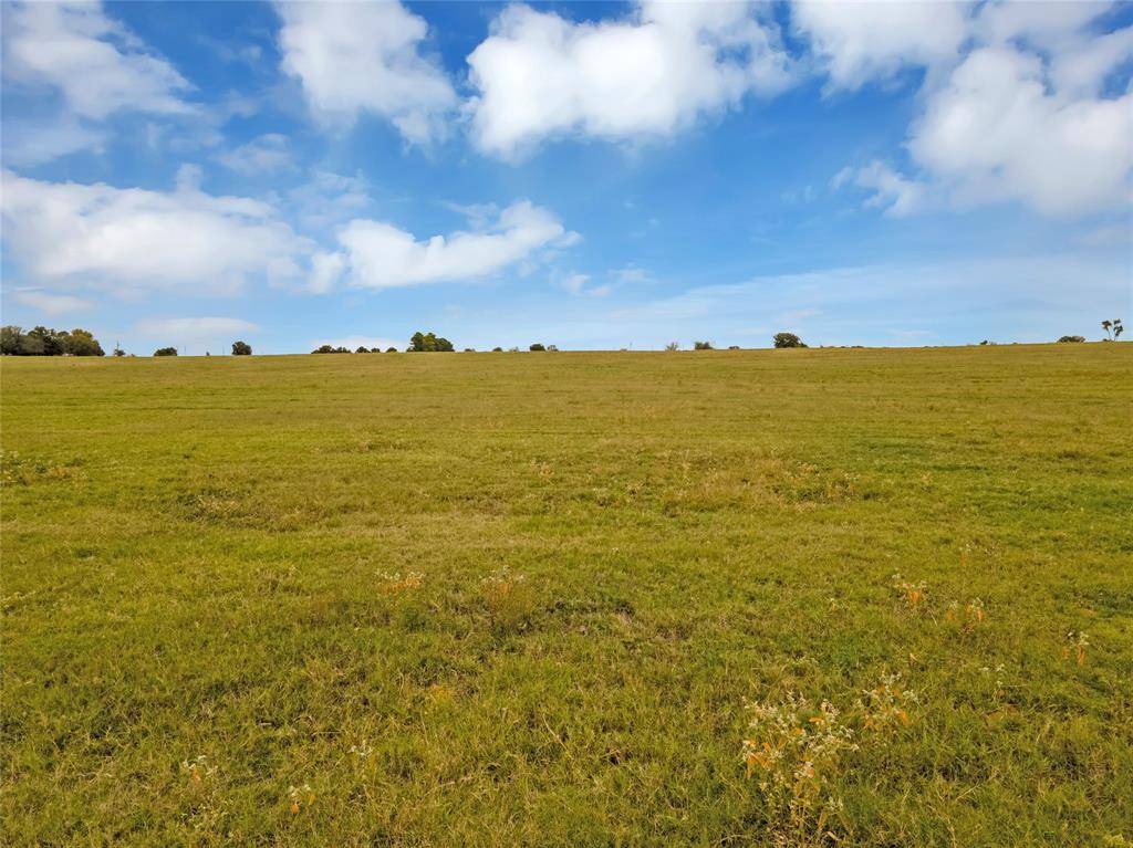 Paradise, TX 76073,Lot 6-7 County Road 3390