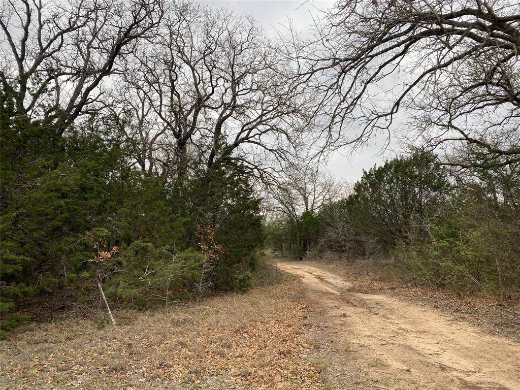 Hico, TX 76457,5925 CR 236