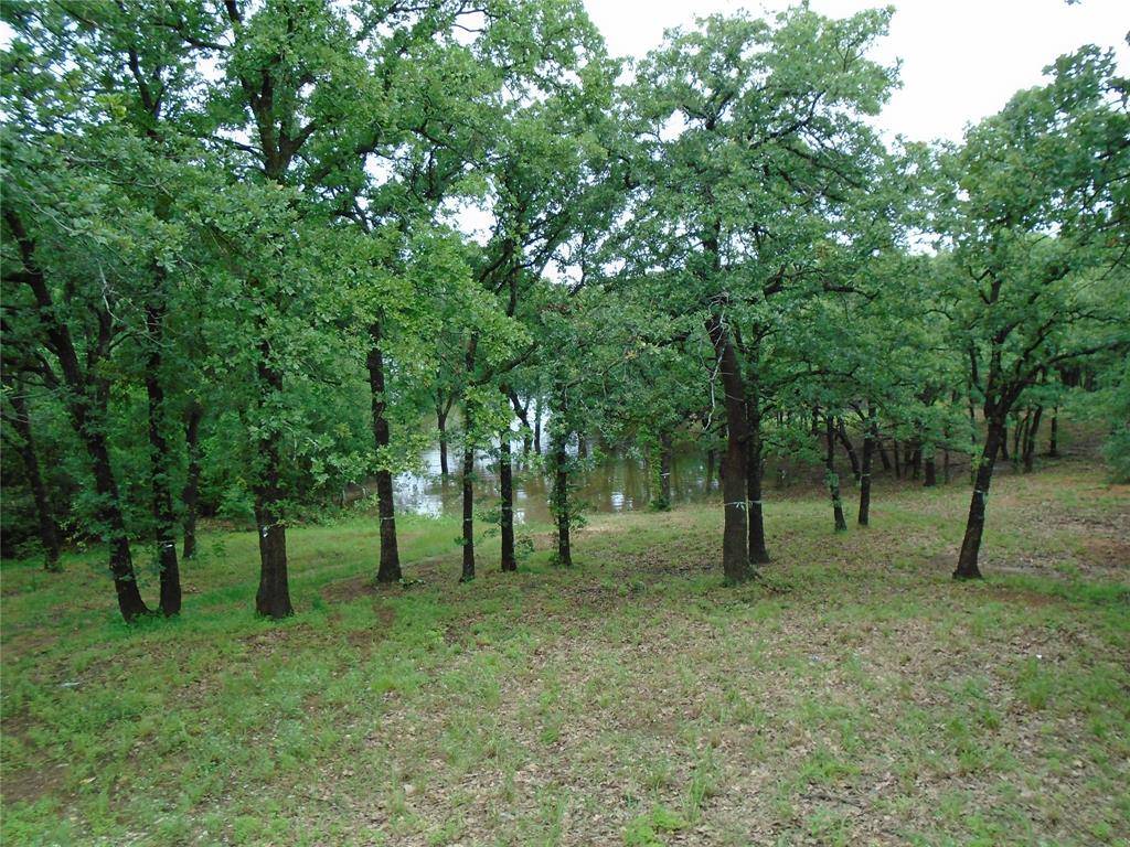 Hickory Creek, TX 75065,16 Royal Oaks Boulevard